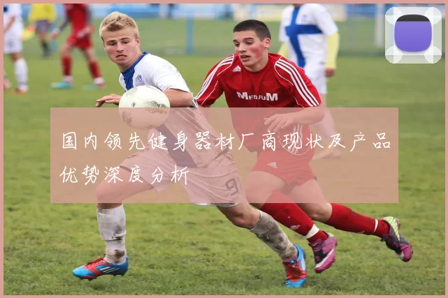 国内领先健身器材厂商现状及产品优势深度分析